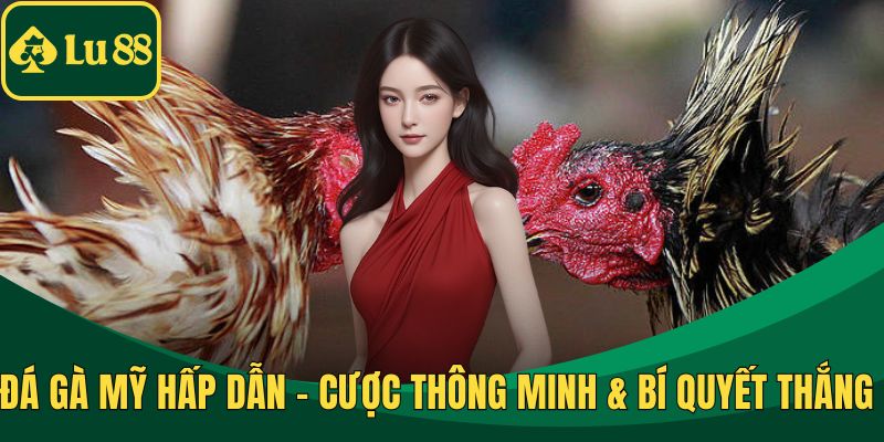 Đá Gà Mỹ Hấp Dẫn - Cược Thông Minh & Bí Quyết Thắng Lớn