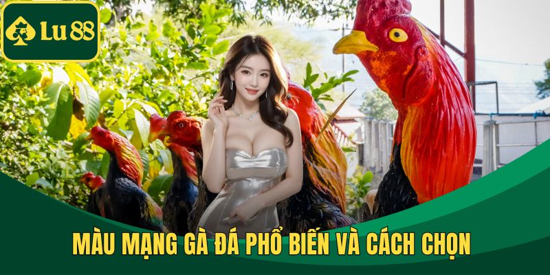 Gà Vảy Rồng Và Cách Chọn Chuẩn Xác Nhất Từ Chuyên Gia