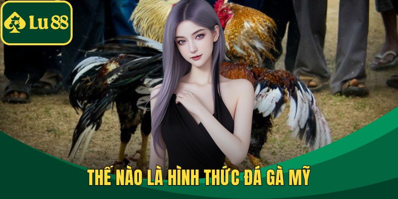 Thế nào là hình thức đá gà mỹ