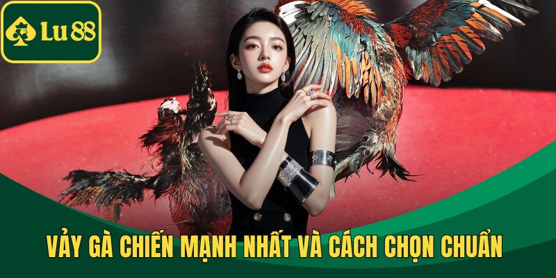 Vảy Gà Chiến Mạnh Nhất Và Cách Chọn Chuẩn Từ Nhà Cái LU88